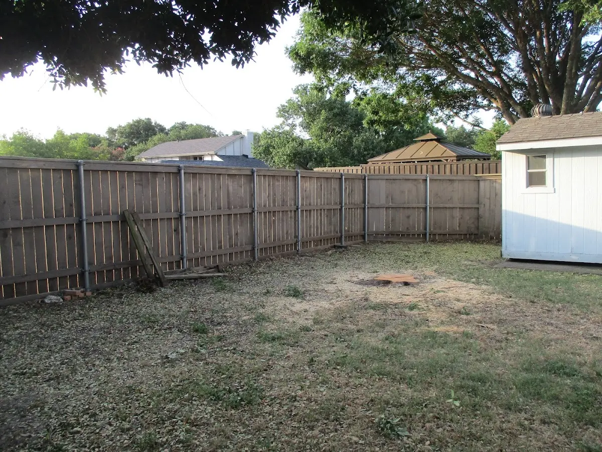 Cleared yard after professional tree removal in Elm Creek