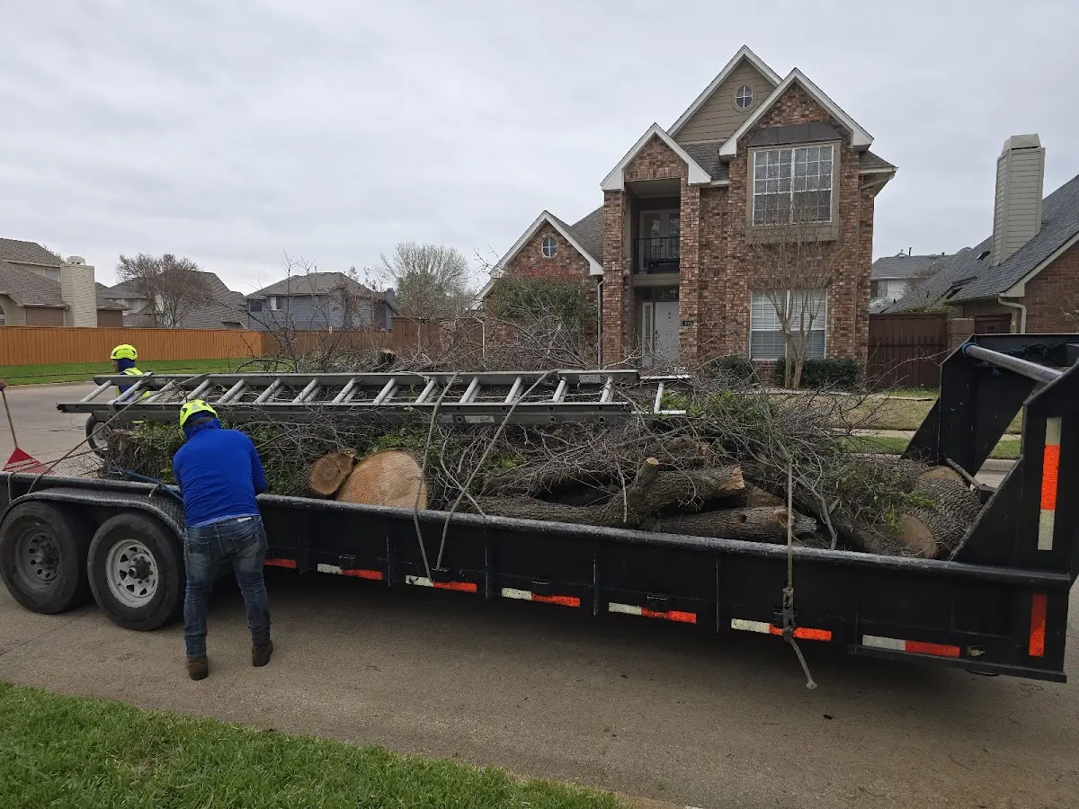 Expert Tree Pest Control with proper safety equipment in Elm Creek